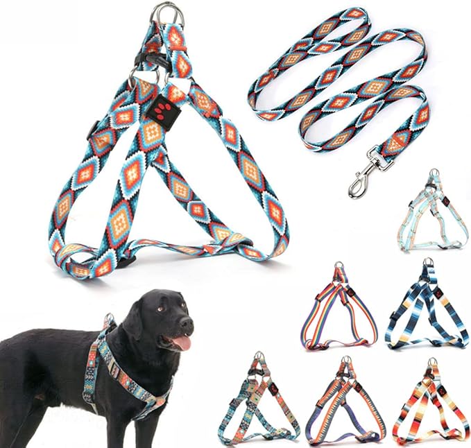 Dog Harness and Leash Set, Pretty Pattern No-Pull Pet Halter Puppy Vest Outdoor Easy Walk for Small Medium Large Breed Pug Bully Mastiff Dogs Female Male, Boho L