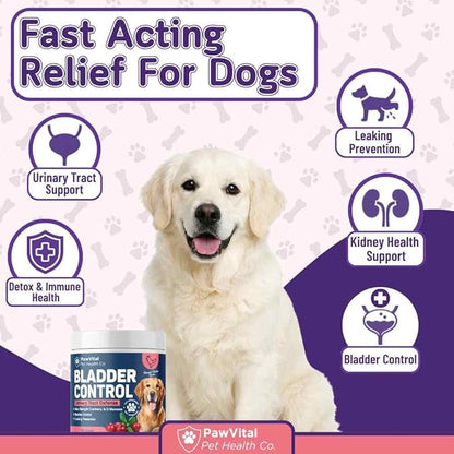Dog UTI & Bladder Control Chews – Cranberry & D-Mannose Urinary Tract Support for Dogs, Helps Stop Leaking & Incontinence, All-Natural Chicken Flavor, 90 Soft Chews