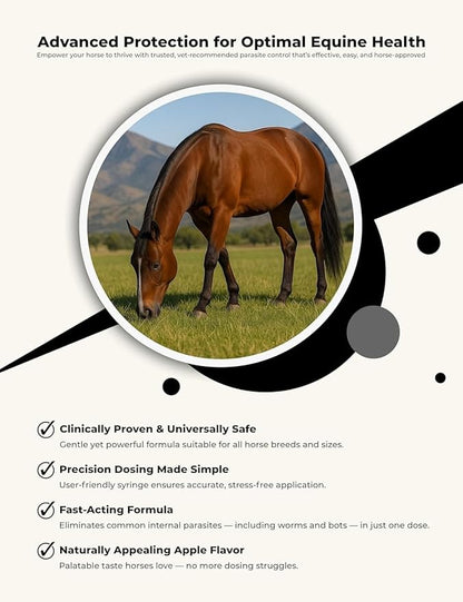 Ivermectin Horse Wormer Paste 1.87% – Apple Flavored 6.08g (0.21 oz) Oral Syringe – Treats Horses Up to 1,250 lbs – Adjustable 250 lb Weight Markings – Removes Worms & Bot Control – 6 Pack