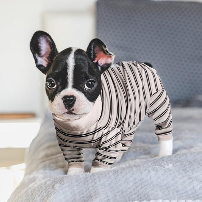 FEimaX Dog Recovery Suit After Surgery, Pet Abdominal Wounds Post Surgical Shirt for Dogs Cats, Puppy Spay Neuter Prevent Licking Onesie Alternative Bandages E-Collar & Cone