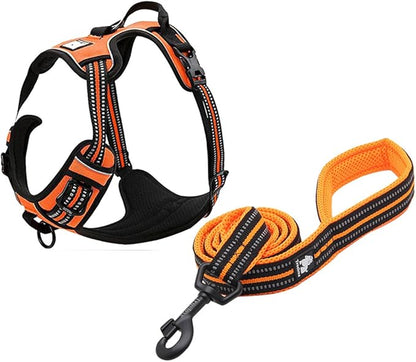 Creation Core Reflective Nylon Dog Harness and Training Leash Set Padded Durable Adjustable, Orange S