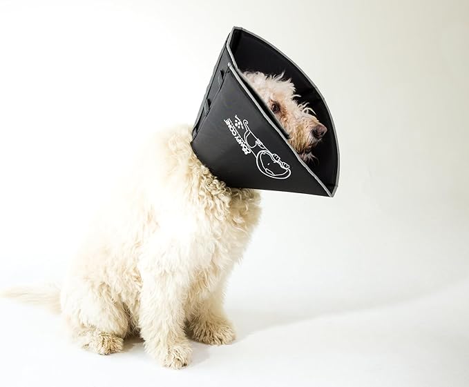 All Four Paws Comfy Cone Pet Cone for Dogs, Cats, X-Large, Black - Comfortable Soft Dog Cone Collar Alternative for After Surgery, Wound Care, Spay, Neuter - Dog and Cat Recovery Elizabethan-Collar