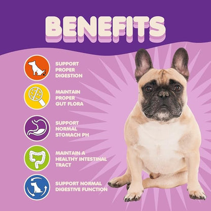 Probiotics for Dogs & Puppies–Extra Strength 9 Species, 5 Billion CFU per Scoop of Powder Digestive Enzymes for Dogs. Gut Fiber & Allergy Relief
