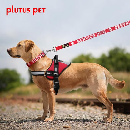 Plutus Pet Service Dog Collar,Printed in Large Letters on Nylon Webbing,Prevents Accidents by Warning Others of Your Dog in Advance,Two Colors,Four Sizes,Neck 10-16 inch,Small,Red
