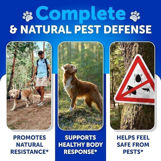 Flea and Tick Prevention for Dogs Chewables - Made in USA - Natural Flea and Tick Supplement for Dogs - 240 Immune Support Chews (2 Pack) - Vitamins B1, B6, B12 - All Breeds and Ages