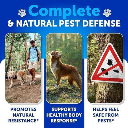 Flea and Tick Prevention for Dogs Chewables - Made in USA - Natural Flea and Tick Supplement for Dogs - 240 Immune Support Chews (2 Pack) - Vitamins B1, B6, B12 - All Breeds and Ages