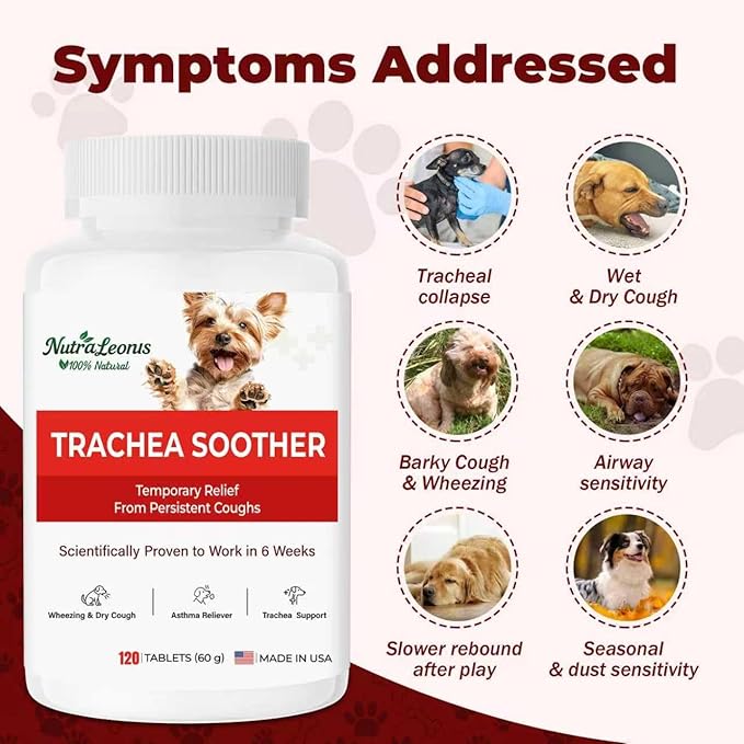 Kennel Cough Treatment, Cough Relief for Dogs, Helps Ease Coughing from Tracheal Collapse, Dry & Wet Cough, Natural Soothing Herbs for Throat & Airway Comfort, Chicken Flavor - 120 Tablets