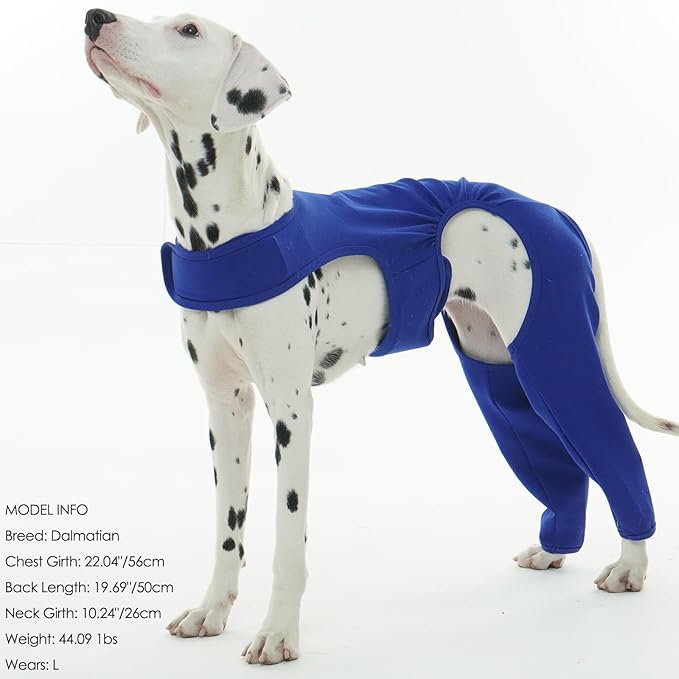 ROZKITCH Dog Suit for Surgery Recovery for Rear Right Left Leg, Pet Prevent Licking Wound Elbow Protector, Dog Rear Leg Sleeve to Stop Licking for Sprain ACL CCL Arthritis Joint Care Blue S