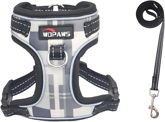 No Pull Dog Harness and Leash Set-Reflective Plaid Design, Adjustable & Comfortable with Front D Ring for Small Medium Dogs (XS, Black Plaid)