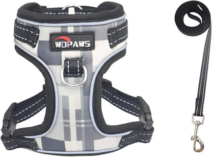 No Pull Dog Harness and Leash Set-Reflective Plaid Design, Adjustable & Comfortable with Front D Ring for Small Medium Dogs (XS, Black Plaid)