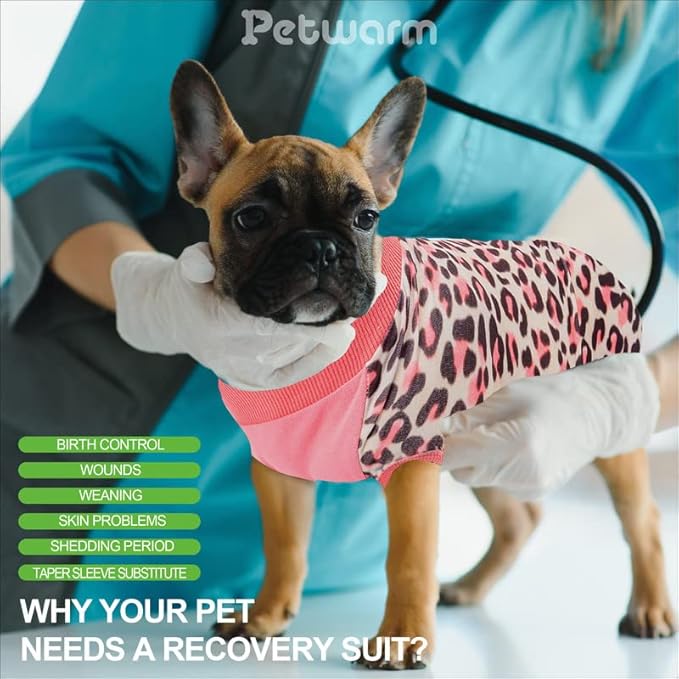 PetWarm Dog Surgery Recovery Suit, Surgical Suit for Dogs, Cotton Protect Dog Abdominal, After, Surgery Onesie for Dogs, Professional Pet Recovery Shirt, XS