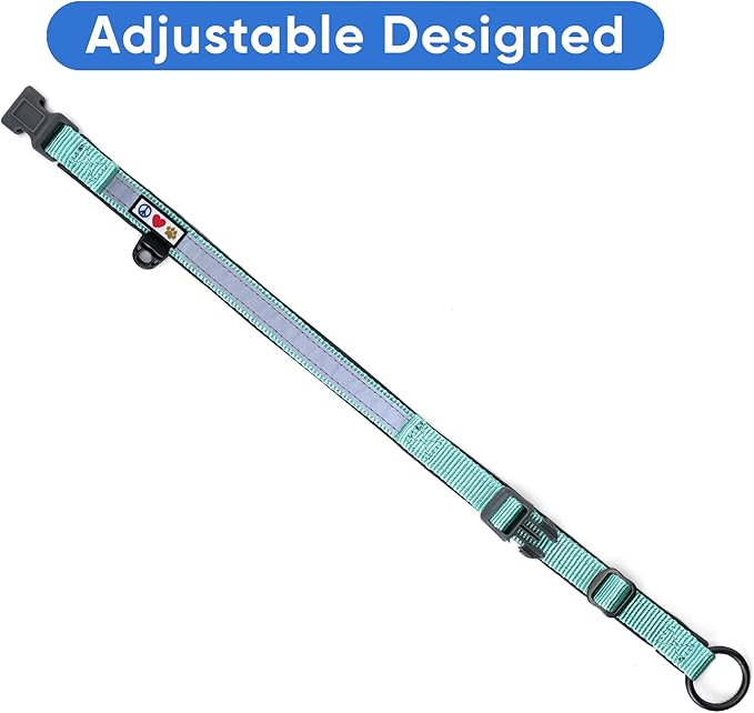 Pawtitas Lumberjack Padded Martingale Collar for Dogs | Soft Neoprene Dog Collar for Your pet's Comfort Made with Reflective Band for Maximum Visibility | Fits Small and Large Pets - XXS Teal