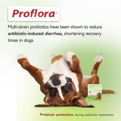 Daily Probiotics and Prebiotics for Dogs, Supports Digestive Health and Immune System, 30 Powder Sachets, 1.06 oz (1-Pack)
