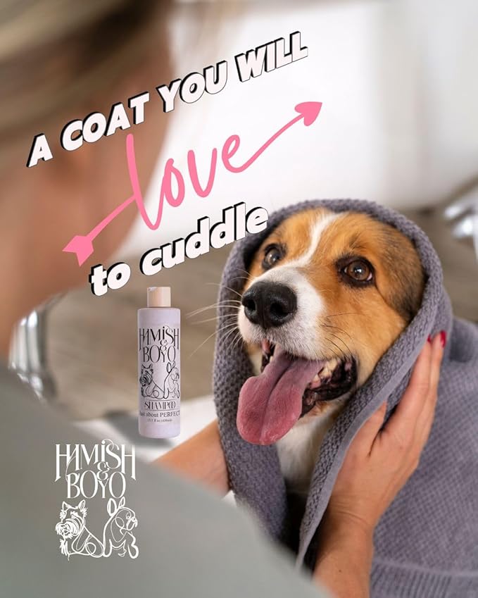 Hamish & Boyo Oatmeal Dog Shampoo for Itchy Skin & Allergies – Anti-Itch Relief with Oatmeal, Aloe & Chamomile – Gentle Formula for Sensitive Dogs – Made in USA – Sulfate & Paraben Free – Family Owned