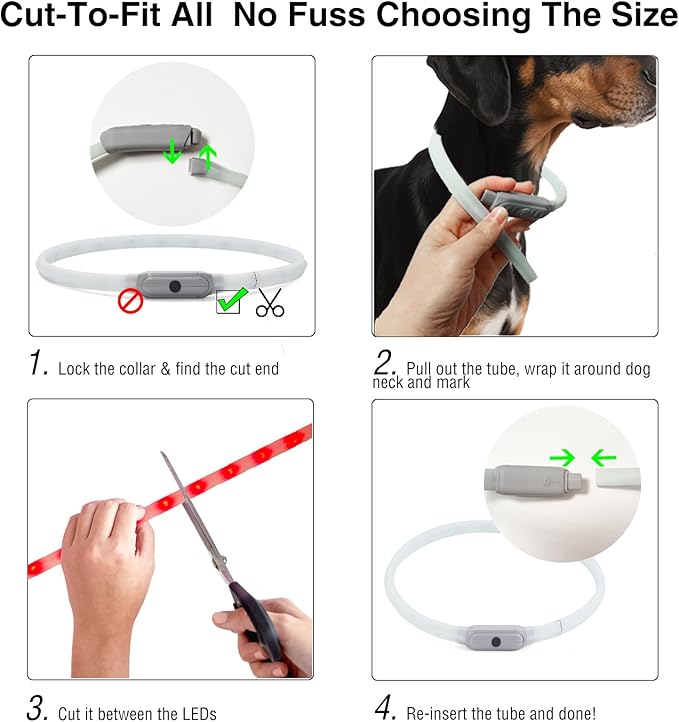 Light Up Dog Collar Multicolor LED USB C Rechargeable, Glow in The Dark Collar for Night Walking, Cuttable for Large Medium Small Dogs Pet (Multicolor Dog Collar)