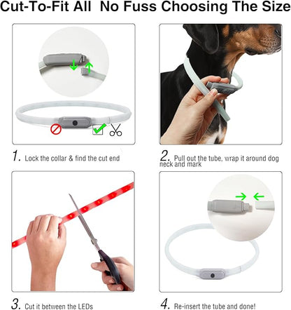Light Up Dog Collar Multicolor LED USB C Rechargeable, Glow in The Dark Collar for Night Walking, Cuttable for Large Medium Small Dogs Pet (Multicolor Dog Collar)