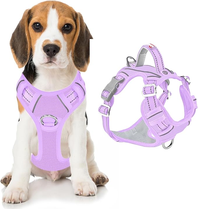 BARKBAY Dog Harness No Pull Oxford with ID Tag Pocket - Heavy Duty, Reflective, Easy Control for Large Dogs(Violet Purple Oxford,M)