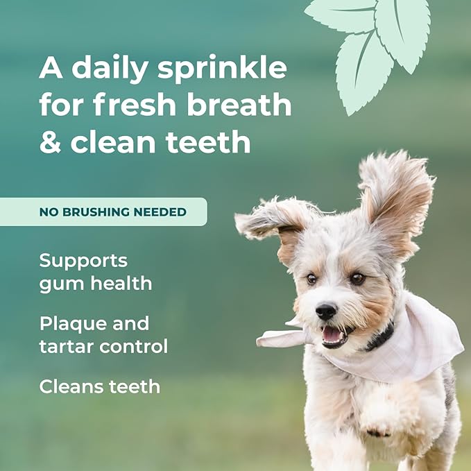 Googipet Dental Powder for Dogs Teeth Cleaning - Dog Dental Powder Breath Freshener & Plaque Remover - Tartar Remover for Dogs & Dog Breath Freshener Plaque Off W/Kelp, Parsley, Rosemary, & Mint