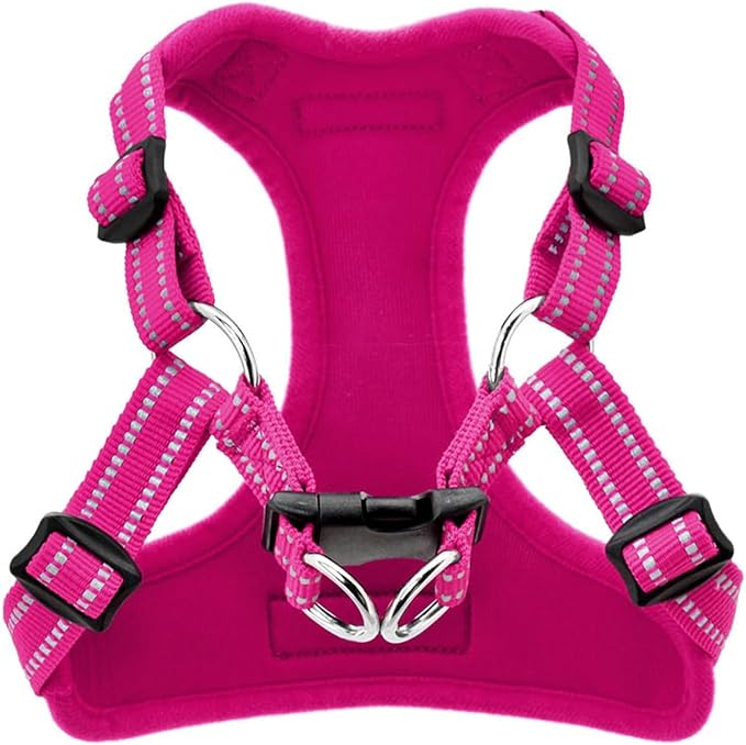 Best Pet Supplies Voyager Adjustable Step-in Flex Breathable Mesh Dog Harness for Small Medium Large Dogs (Fuchsia), L