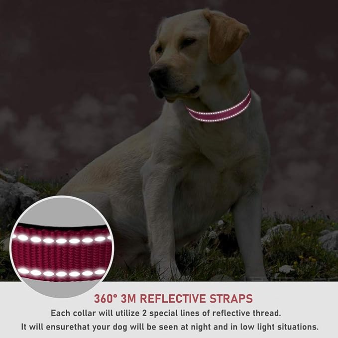 Reflective Dog Collar with Buckle Adjustable Safety Nylon Collars for Small Medium Large Dogs, Pink M