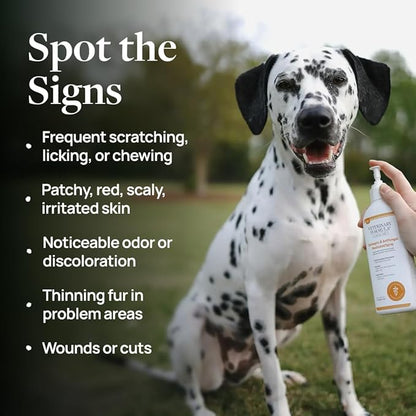 Veterinary Formula Clinical Care Antiseptic and Antifungal Spray for Dogs and Cats - Helps Alleviate Scaly, Greasy, or Red Skin and Supports Skin Prone to Odor Causing Buildup - Pack of 2, 8 oz Each