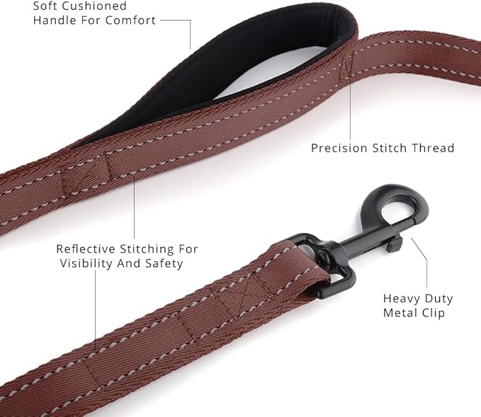 Plutus Pet Double Handle Dog Leash 6ft, Heavy Duty, Reflective Dual Handle Dog Leash for Safety Training, for Medium Large Dogs,2 Handle Leads, Chocolate