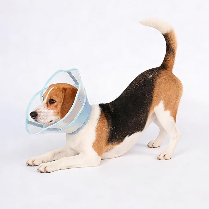 Touchdog Soft Dog Cone Collar,Waterproof & Foldable Elizabethan Collar for Dogs After Surgery, No Lick Recovery E-Collar, Comfortable Protective Cone Alternative for Small Medium Large Dogs (Blue, XL)