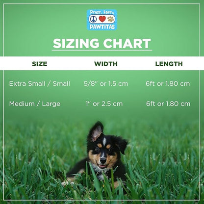 Pawtitas Personalized Green Dog Leash 6 ft Custom ID Lead for Dogs & Puppies Reflective Comfortable Padded Handle Embroidered Name & Phone Number