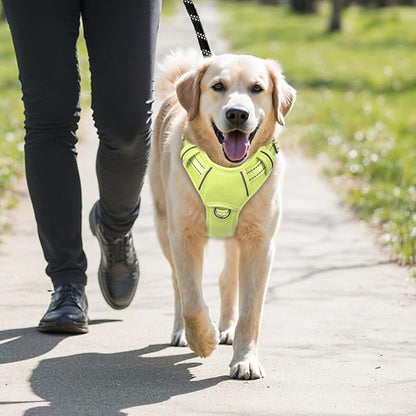 BARKBAY No Pull Dog Harness Large Reflective Dog Harness with Front Clip and Easy Control Handle for Walking Training Running with ID tag Pocket(Sunlight,M)