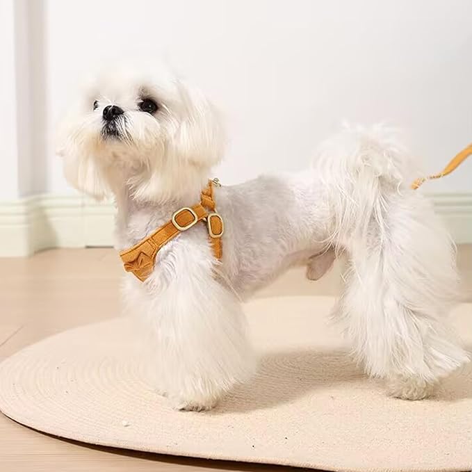 Cute Small Dog Harness and Leash Puppy Set with Bowtie,Step in Dog Harnesses,Soft Adjustable Cat & Dog Vest,Harness for Small Cats & Dogs Walks and Parties(Yellow,S:Weight 8.8-17.6lb)