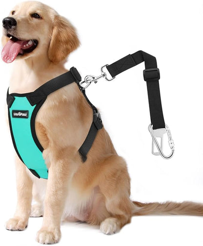 VavoPaw Dog Seat Belt, Safety Vest Dog Car Harness with Adjustable Buckle Dog Seat Belt for Vehicle Nylon Pet Safety Seat Belts Heavy Duty(XXL, Blue)