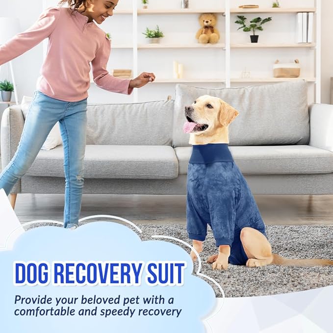 Lukovee Recovery Suit for Dogs - Soft Onesie Dog Surgery Suit for Female Male Dogs, Breathable Surgical Recovery Suit Prevent Licking Spay Recovery Suit Dog E-Collar & Cone Alternative(XS,Blue)