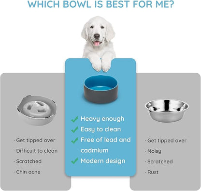 SPUNKYJUNKY 13.5OZ Ceramic Dog and Cat Bowl, Modern Cute Weighted Food Water Bowl for Replacement Blue-Grey (1 Pack)
