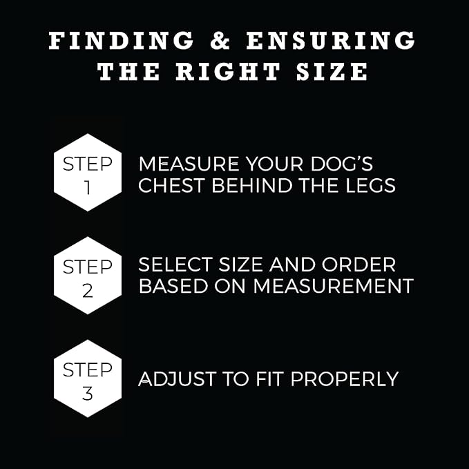 Wolfgang Heavy Duty Adjustable Dog Harness, Pull-Tested to Over 800 lbs for Walking & Training, FlutterColor Print, Small