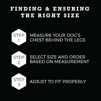 Wolfgang Heavy Duty Adjustable Dog Harness, Pull-Tested to Over 800 lbs for Walking & Training, FlutterColor Print, Small
