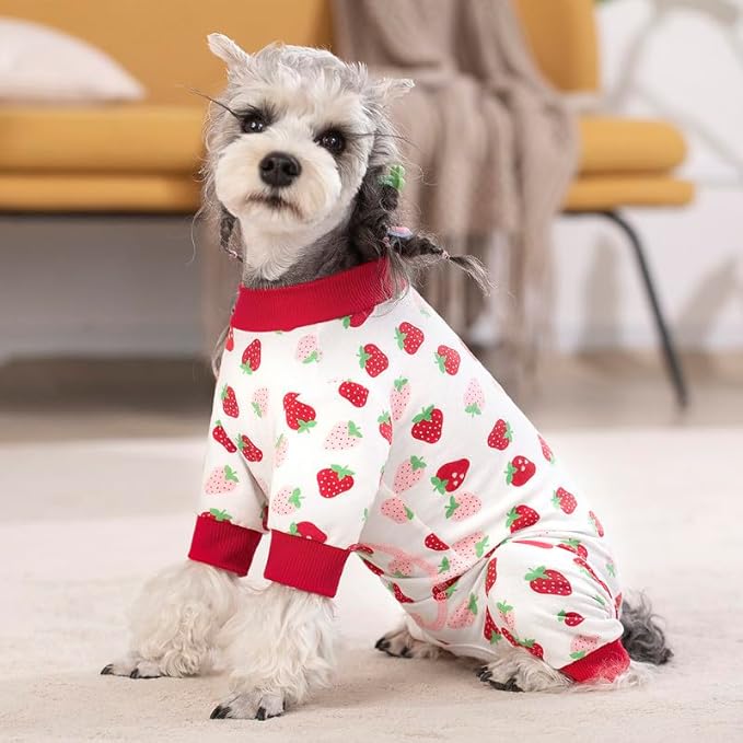 Dog Surgery Recovery Suit, Dog Onesie for Surgery Female Male Dogs, Dogs Pajamas Long Sleeve, Small Dogs Onesie, Abdominal Wound Bandages Surgical Suit, Cat Recovery Suit for Shedding Skin Disease