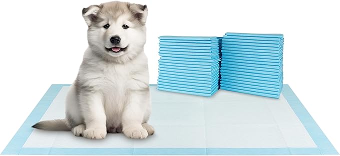 BV XXL Puppy Pads 20 Count 36" x 30" - Leak-Proof Pee Pads for Dogs with 6-Layer Design, Rapid Dry Sheet & Attractant - Dog Pad Extra Large with Odor Control - Perfect for Big Dogs & Indoor Use
