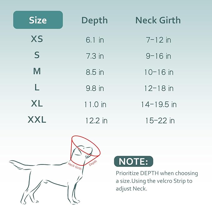 Dog Cone Collar with Snap-on Detachable Soft Liner, Lightweight Transparent Elizabethan Alternative to Stop Licking, for Spay Neuter Surgery Recovery, for Medium Large Small Dogs (Green,L)