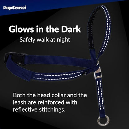 Headcollar for Dogs, Extra Soft Padded, Reflective, No Pull Dog Collar, Gentle Leader for Dogs with Durable Nylon Leash, Padded Handle - Navy Blue (Small)