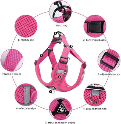 Dog Harness and Leash Set, Adjustable Triangle, Reflective Adjustable Puppy Vest, No Pull Soft Mesh Harness for Small, Medium Dogs, Cats (Fuchsia, XL)