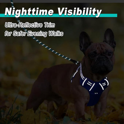 BARKBAY Dog Harness No Pull Mesh for Small Dogs - Adjustable, Reflective, Comfortable, No Choke, Heavy-Duty - Perfect for Outdoor Training, Walking, and Hiking-Strong&Durable- XS & Sapphire Blue Mesh