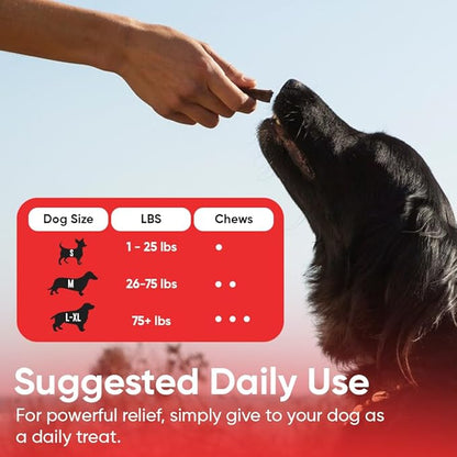 iHeartDogs Extra Strength Urinary, Bladder, & Kidney Support for Dogs – Cranberry, D-Mannose & Echinacea Helps Maintain Urinary Tract Health, Strengthens Weak & Incontinent Bladder