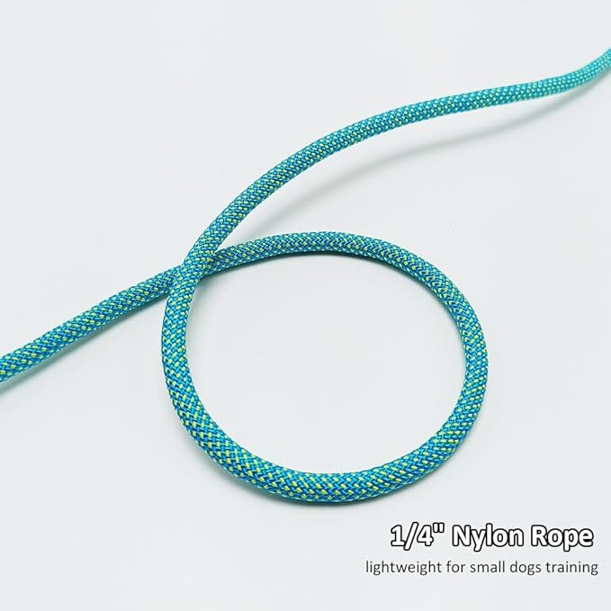 BTINESFUL 7FT Slip Lead Dog Leash, 14+ Colors Nylon Rope Leash, 1/4 Diam Dog Training Lead for Small Medium Dogs (1/4" * 7 FT, Green Dot)