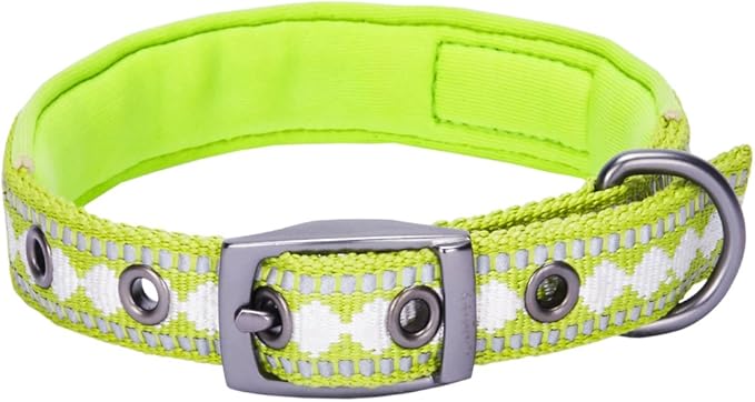 Blueberry Pet Reflective Jacquard Dog Collar with Neoprene Padding & Metal Buckle | Soft & Adjustable Safety Collar - Macaw Green, Neck 9-12.5", for Small Breed