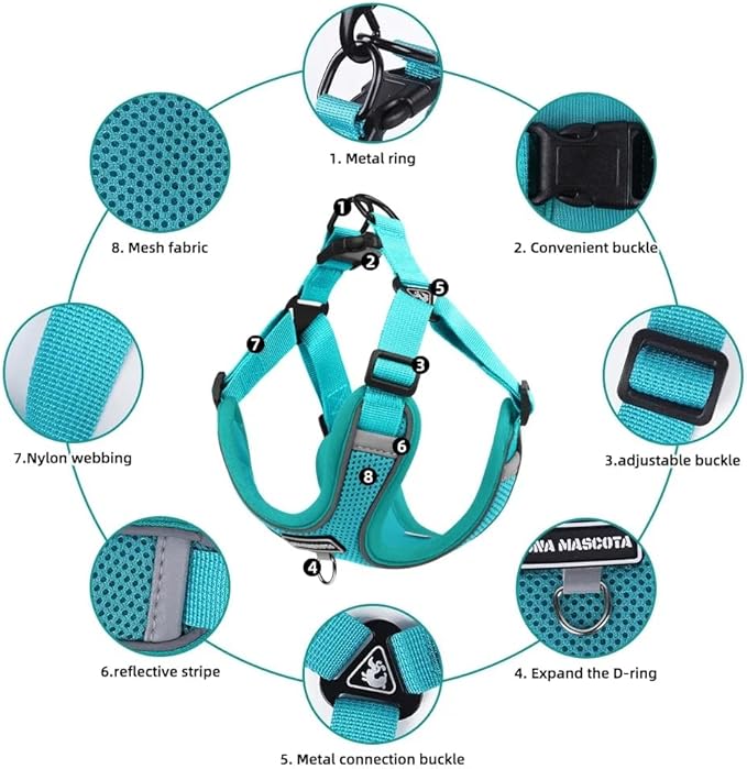 Dog Harness and Leash Set, Adjustable Triangle, Reflective Adjustable Puppy Vest, No Pull Soft Mesh Harness for Small, Medium Dogs, Cats (Turquoise, L)