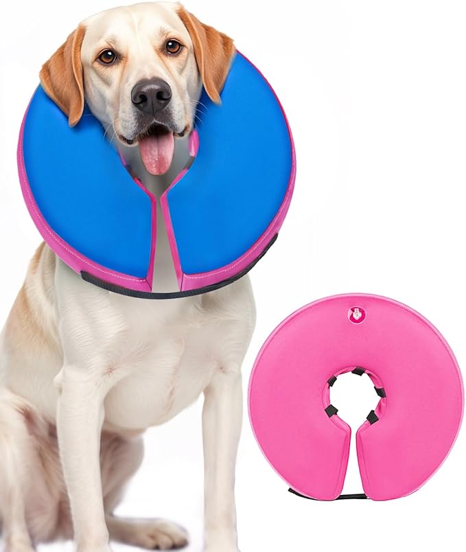 MIDOG Soft Inflatable Dog Cone, Donut E-Collar Alternative for After Surgery, Prevents Licking, Allowing Normal Eating & Vision,Comfortable Recovery Collar for Small Medium Large Dogs&Cats,PinkBlue-XL