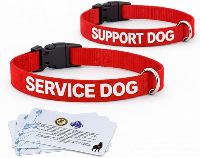 Service Dog Collar & Emotional Support Animal (ESA) Collar with Metal ID Tag + 3 Information Cards – Adjustable Heavy-Duty Nylon | ALL ACCESS CANINE