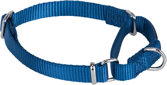 Hyhug Martingale Collar for Dogs Small Blue |Escape - Proof Heavy Duty Nylon Durable No Buckle, Ideal for Training & Daily Walks