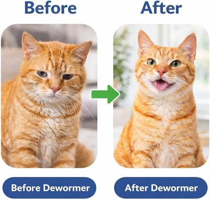 Broad Spectrum Cat Dewormer for Cats and Kittens, Praziquantel & Pyrantel Pamoate Tablet, Removal of Tapeworms, Hookworms & Roundworms & All Wormers Effective and Fast (60 Tablets)