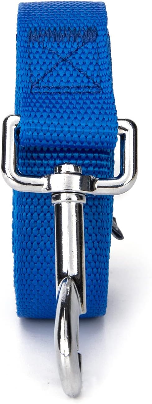 Strong Durable Nylon Dog Training Leash, 1 Inch Wide Traction Rope, 6 ft 10ft 15ft Long, for Small and Medium Dog (Blue, 10 Feet)